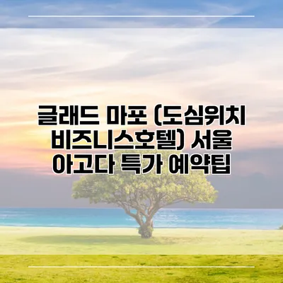 글래드 마포 (도심위치 비즈니스호텔) 서울 아고다 특가 예약팁