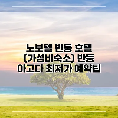 노보텔 반둥 호텔 (가성비숙소) 반둥 아고다 최저가 예약팁