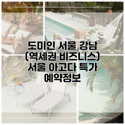 도미인 서울 강남 (역세권 비즈니스) 서울 아고다 특가 예약정보