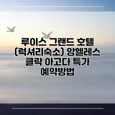 루이스 그랜드 호텔 (럭셔리숙소) 앙헬레스 클락 아고다 특가 예약방법