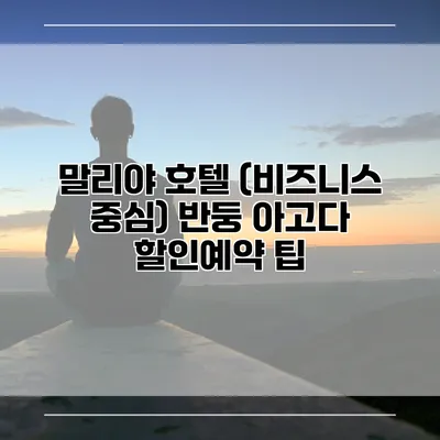 말리야 호텔 (비즈니스 중심) 반둥 아고다 할인예약 팁