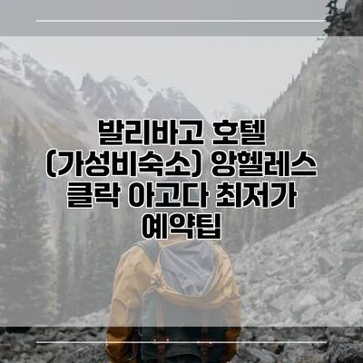 발리바고 호텔 (가성비숙소) 앙헬레스 클락 아고다 최저가 예약팁