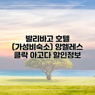 발리바고 호텔 (가성비숙소) 앙헬레스 클락 아고다 할인정보