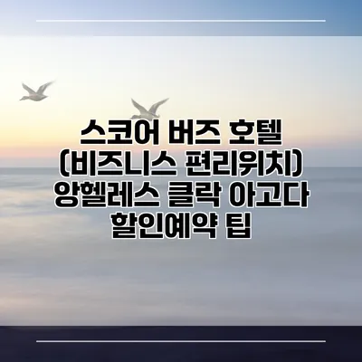 스코어 버즈 호텔 (비즈니스 편리위치) 앙헬레스 클락 아고다 할인예약 팁
