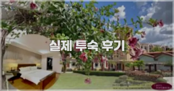 💬 실제 투숙 후기