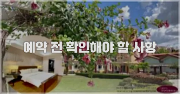 예약 전 확인해야 할 사항