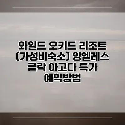 와일드 오키드 리조트 (가성비숙소) 앙헬레스 클락 아고다 특가 예약방법