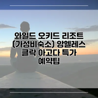 와일드 오키드 리조트 (가성비숙소) 앙헬레스 클락 아고다 특가 예약팁