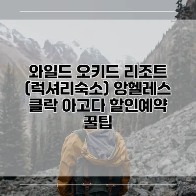 와일드 오키드 리조트 (럭셔리숙소) 앙헬레스 클락 아고다 할인예약 꿀팁