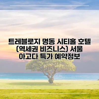 트레블로지 명동 시티홀 호텔 (역세권 비즈니스) 서울 아고다 특가 예약정보