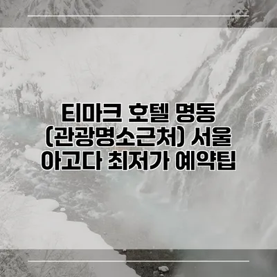 티마크 호텔 명동 (관광명소근처) 서울 아고다 최저가 예약팁