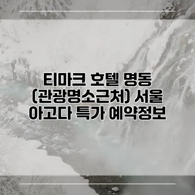 티마크 호텔 명동 (관광명소근처) 서울 아고다 특가 예약정보