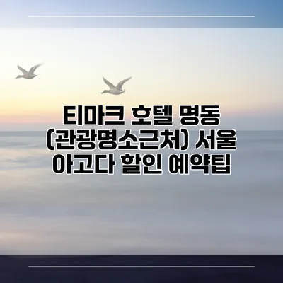 티마크 호텔 명동 (관광명소근처) 서울 아고다 할인 예약팁