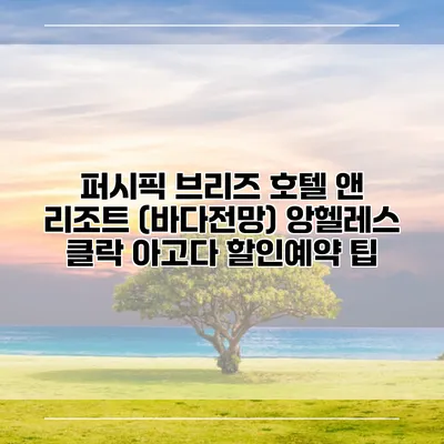 퍼시픽 브리즈 호텔 앤 리조트 (바다전망) 앙헬레스 클락 아고다 할인예약 팁