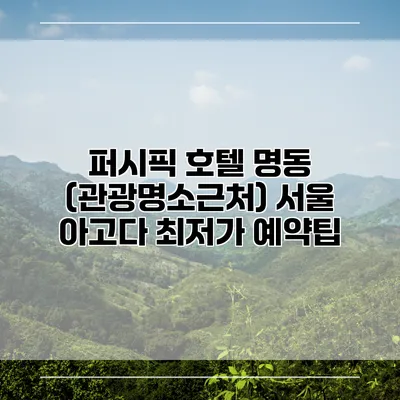 퍼시픽 호텔 명동 (관광명소근처) 서울 아고다 최저가 예약팁
