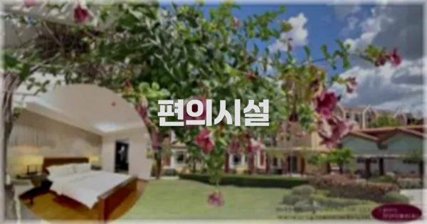 🛎️ 편의시설