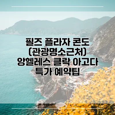 필즈 플라자 콘도 (관광명소근처) 앙헬레스 클락 아고다 특가 예약팁