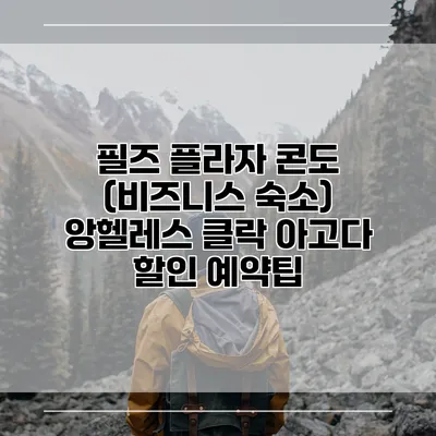 필즈 플라자 콘도 (비즈니스 숙소) 앙헬레스 클락 아고다 할인 예약팁