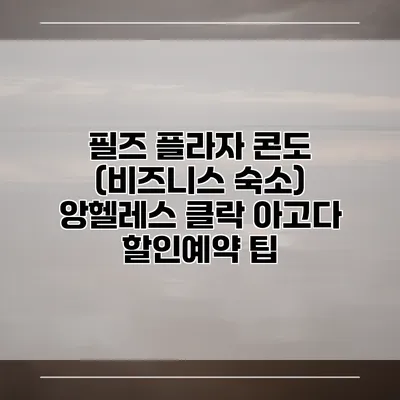 필즈 플라자 콘도 (비즈니스 숙소) 앙헬레스 클락 아고다 할인예약 팁