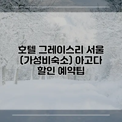 호텔 그레이스리 서울 (가성비숙소) 아고다 할인 예약팁