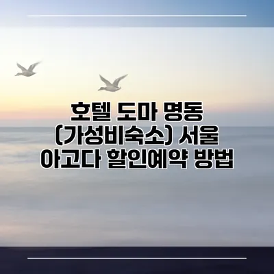 호텔 도마 명동 (가성비숙소) 서울 아고다 할인예약 방법