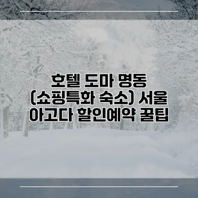 호텔 도마 명동 (쇼핑특화 숙소) 서울 아고다 할인예약 꿀팁