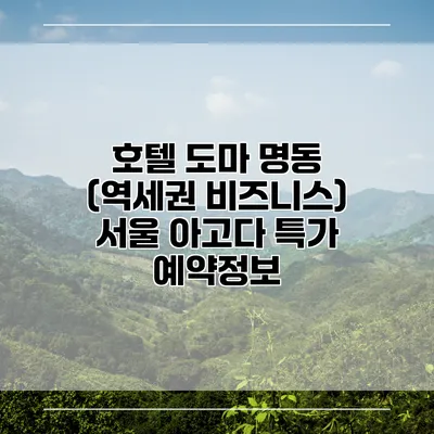 호텔 도마 명동 (역세권 비즈니스) 서울 아고다 특가 예약정보