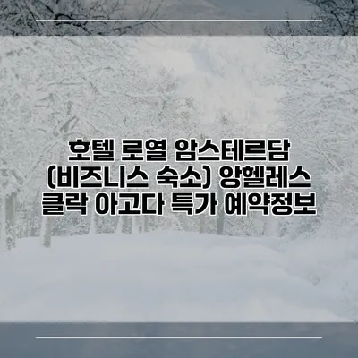 호텔 로열 암스테르담 (비즈니스 숙소) 앙헬레스 클락 아고다 특가 예약정보