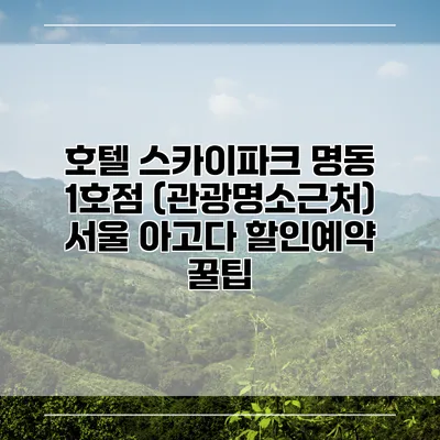 호텔 스카이파크 명동 1호점 (관광명소근처) 서울 아고다 할인예약 꿀팁