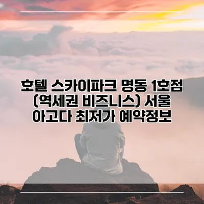 호텔 스카이파크 명동 1호점 (역세권 비즈니스) 서울 아고다 최저가 예약정보