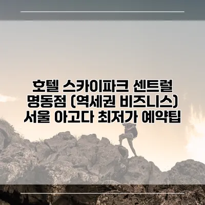 호텔 스카이파크 센트럴 명동점 (역세권 비즈니스) 서울 아고다 최저가 예약팁