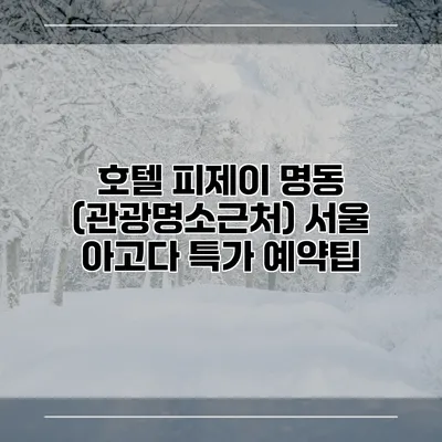호텔 피제이 명동 (관광명소근처) 서울 아고다 특가 예약팁
